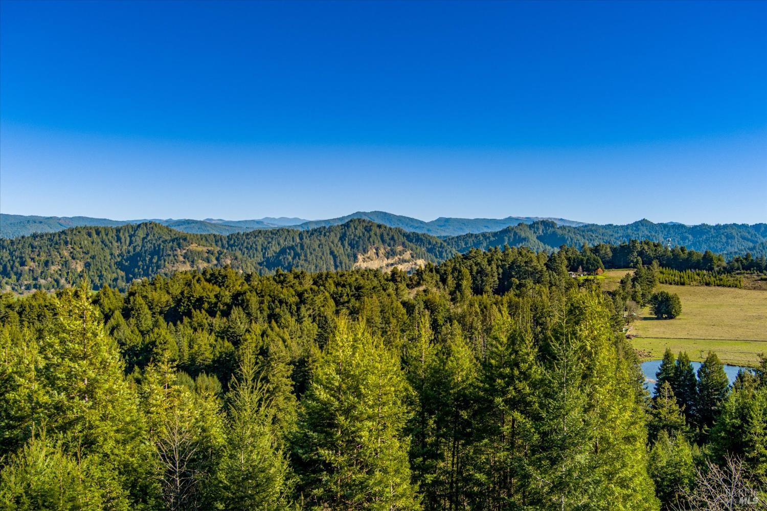 1150 Dinsmore Ranch Road Rio Dell CA 95562