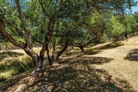 1055 Sundown Trail Santa Rosa CA 95404