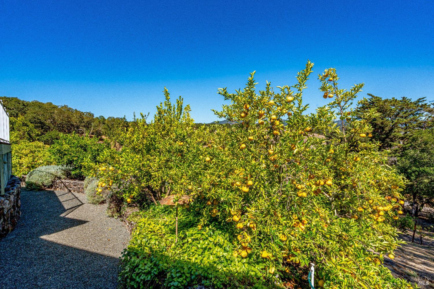1790 Warm Springs Road Glen Ellen CA 95442