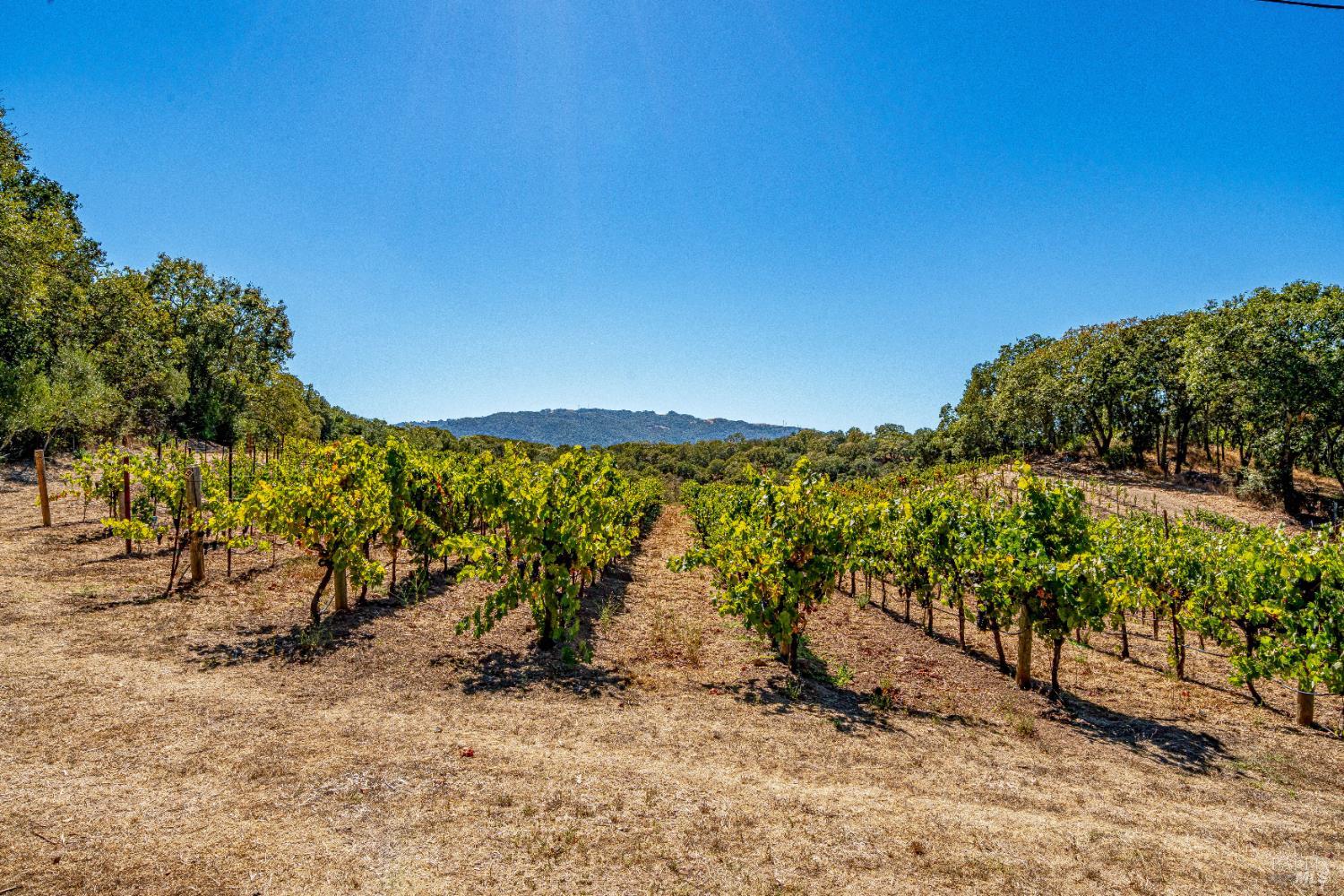 1790 Warm Springs Road Glen Ellen CA 95442