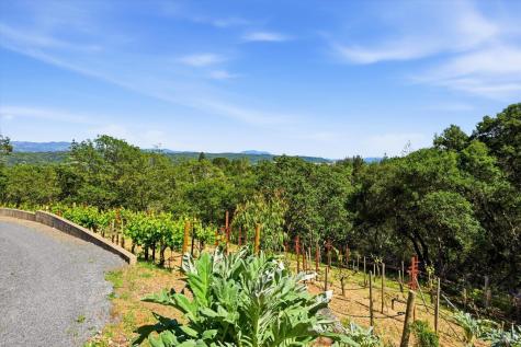 6341 W Dry Creek Road Healdsburg CA 95448