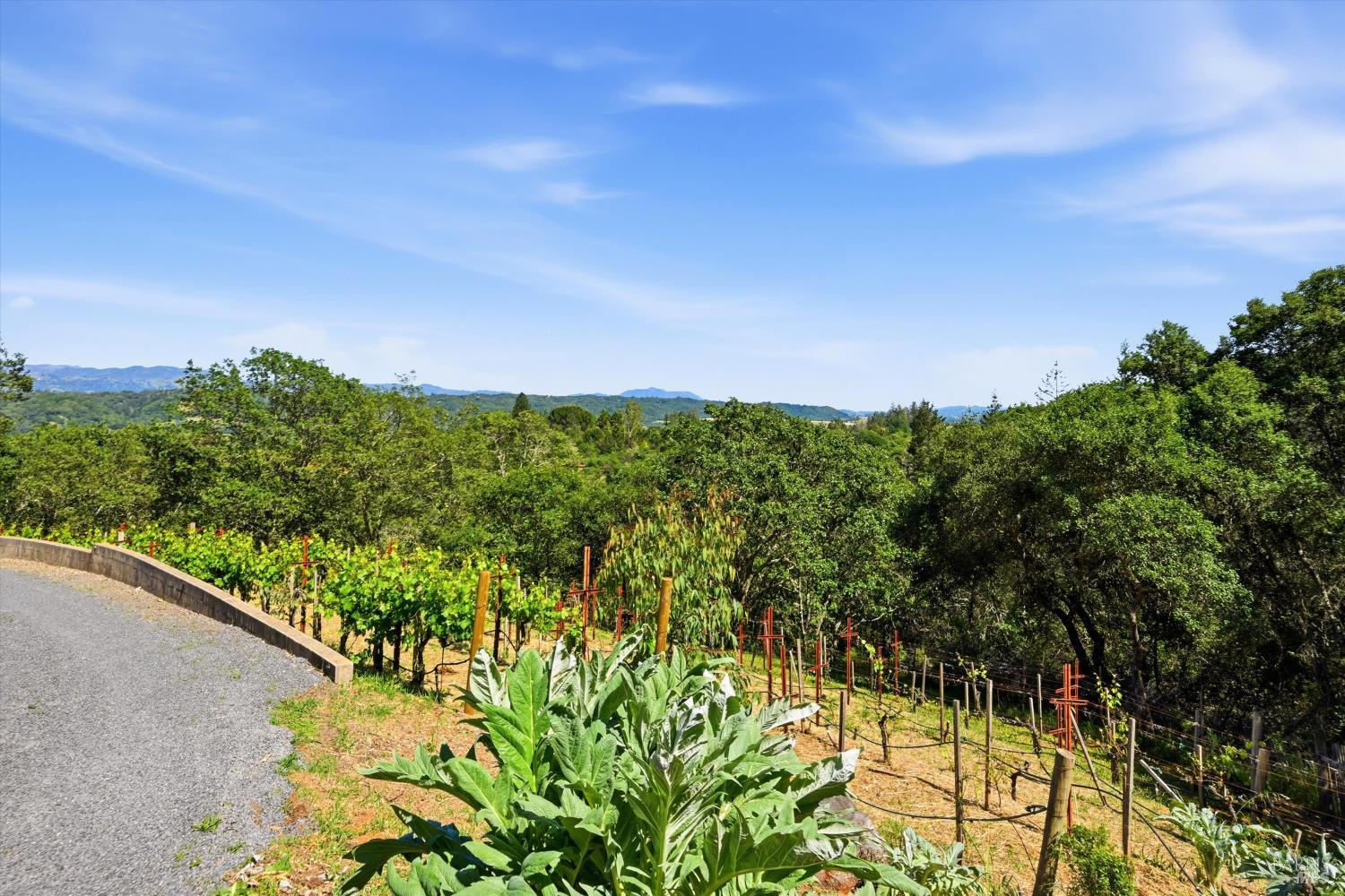 6341 W Dry Creek Road Healdsburg CA 95448