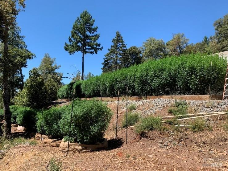 37600 N Highway 101 Laytonville CA 95454