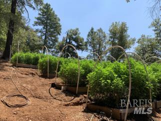37600 N Highway 101 Laytonville CA 95454