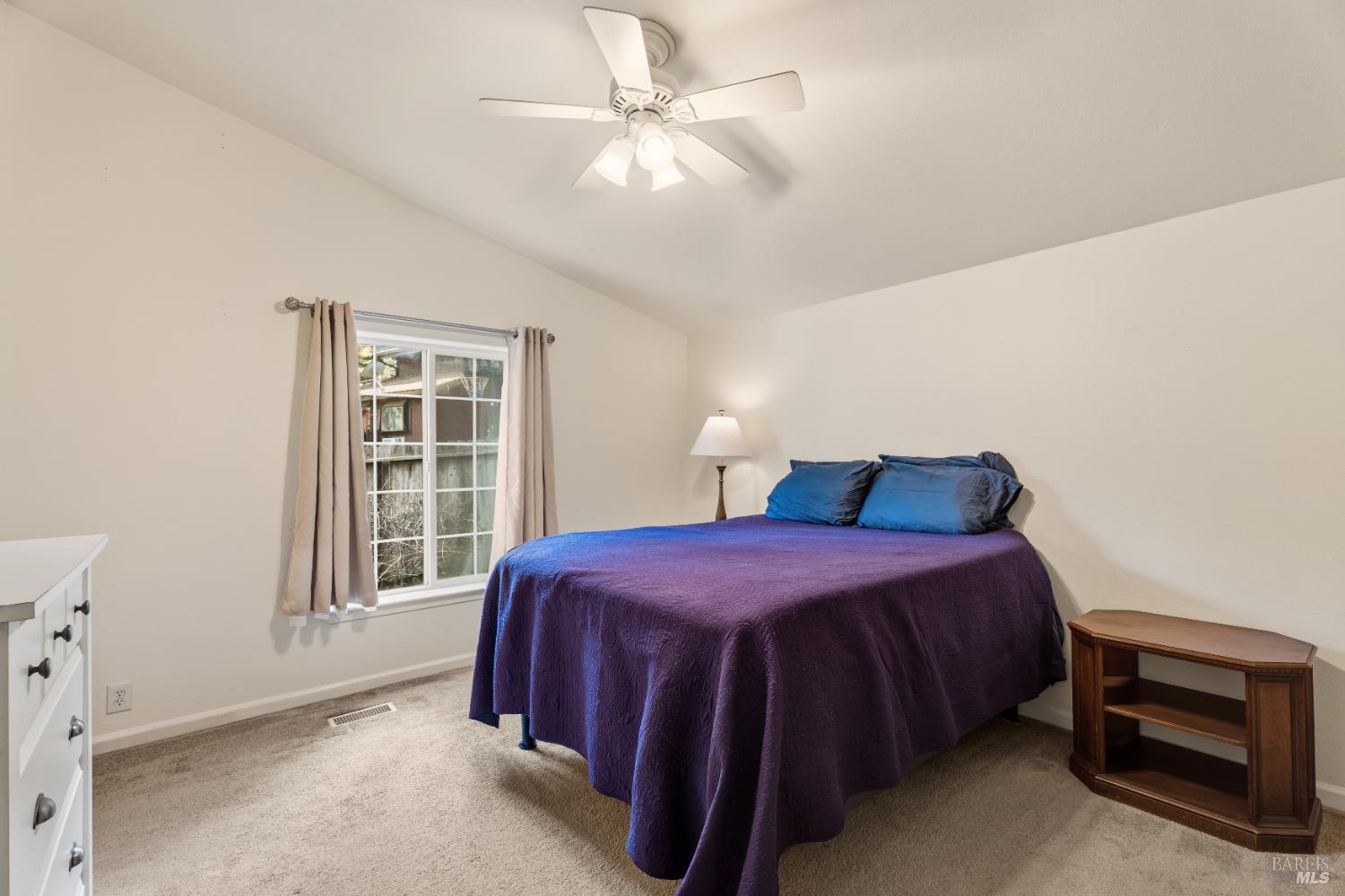 24193 Birch Terrace Willits CA 95490