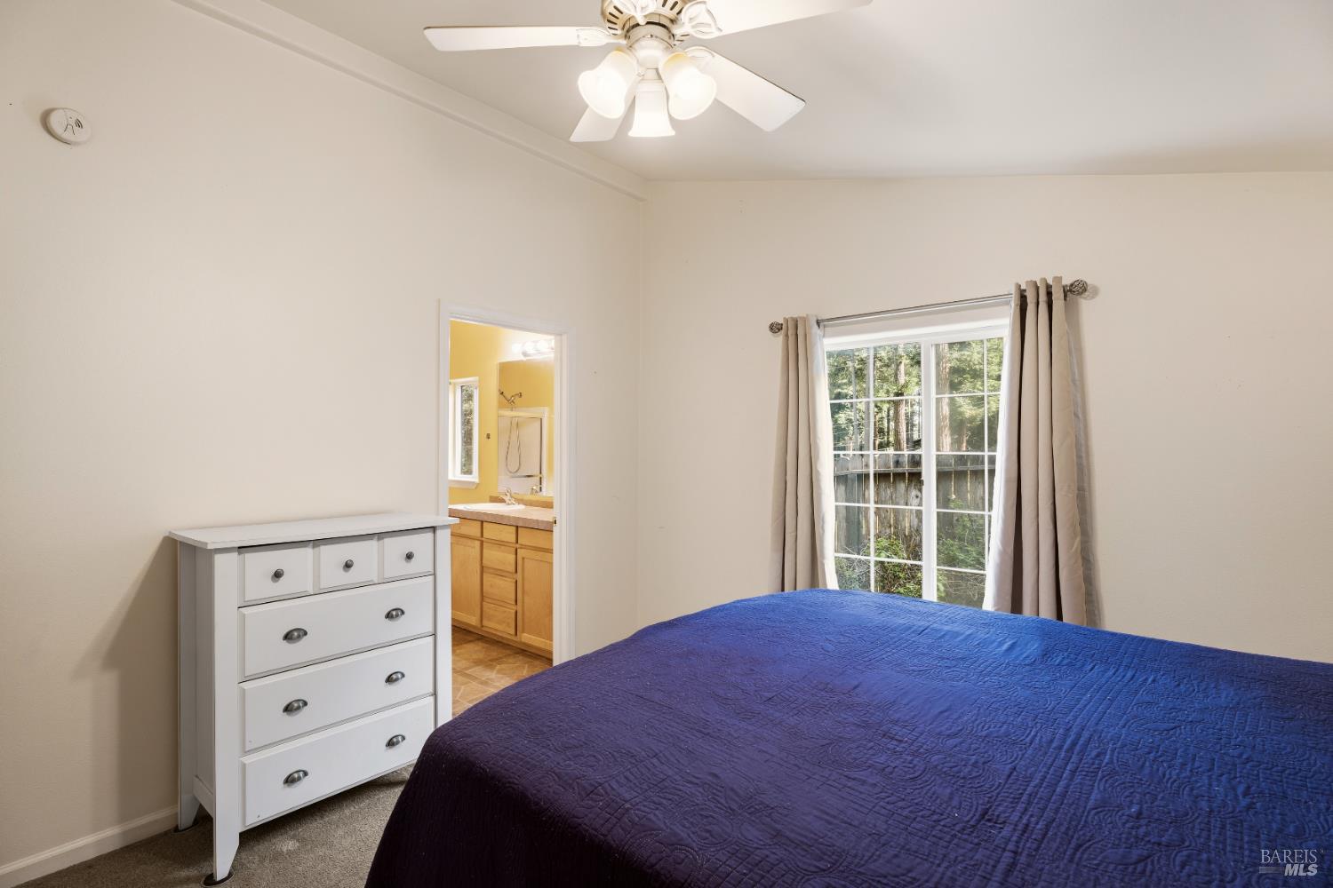 24193 Birch Terrace Willits CA 95490