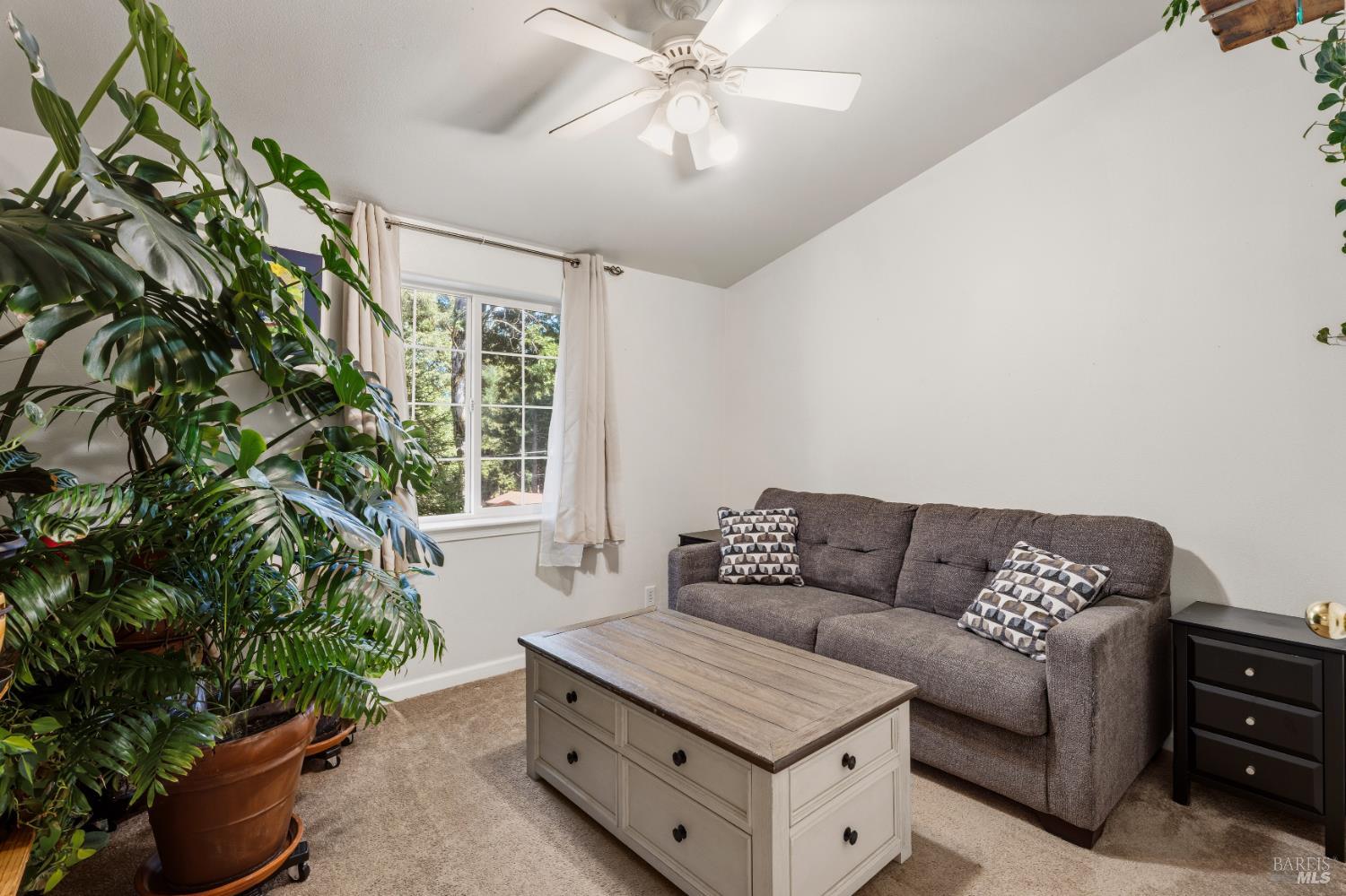 24193 Birch Terrace Willits CA 95490