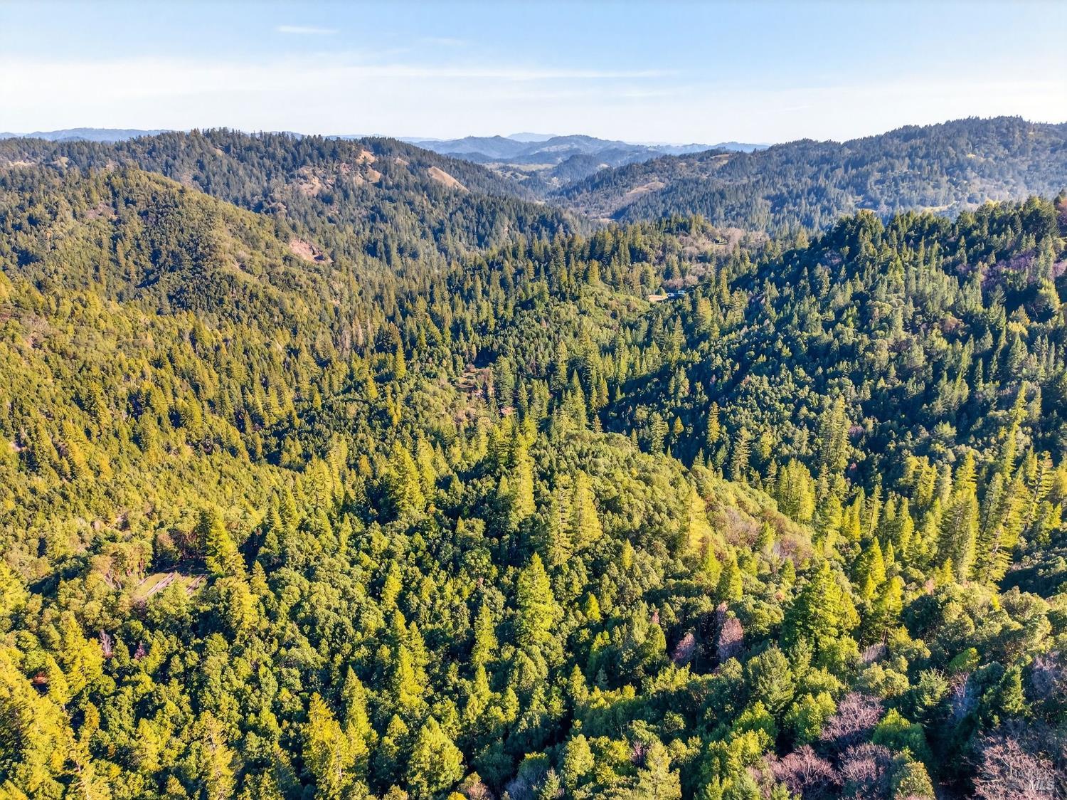 22510 Fort Ross Road Cazadero CA 95421