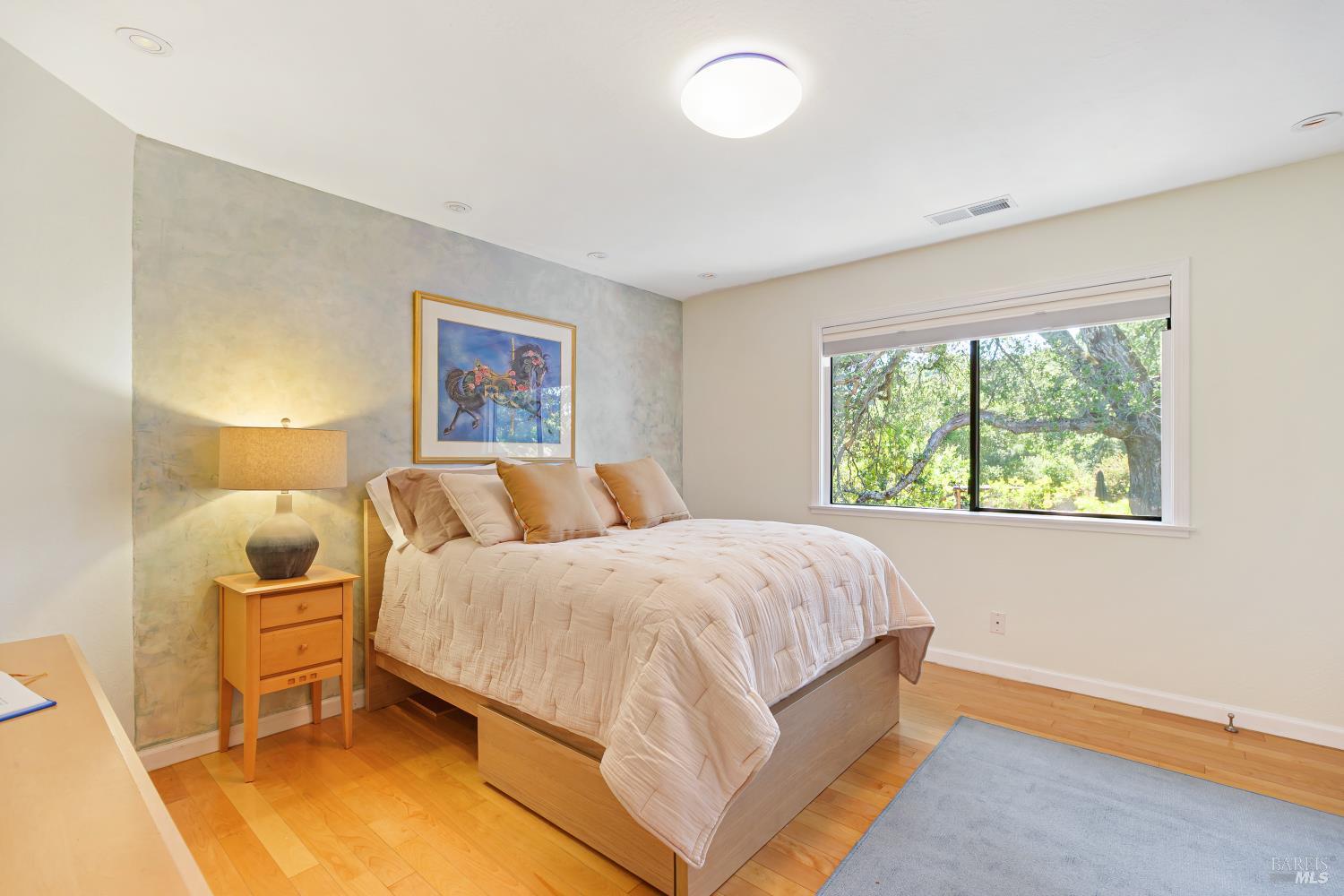 10 Shari Court Novato CA 94947
