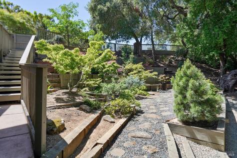 10 Shari Court Novato CA 94947