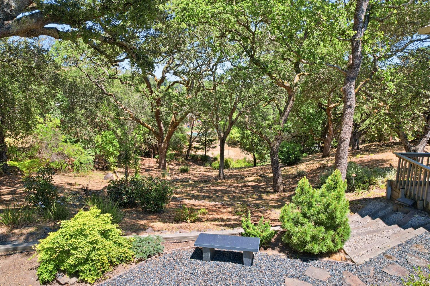 10 Shari Court Novato CA 94947