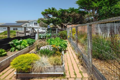 221 Oceana Drive Dillon Beach CA 94929