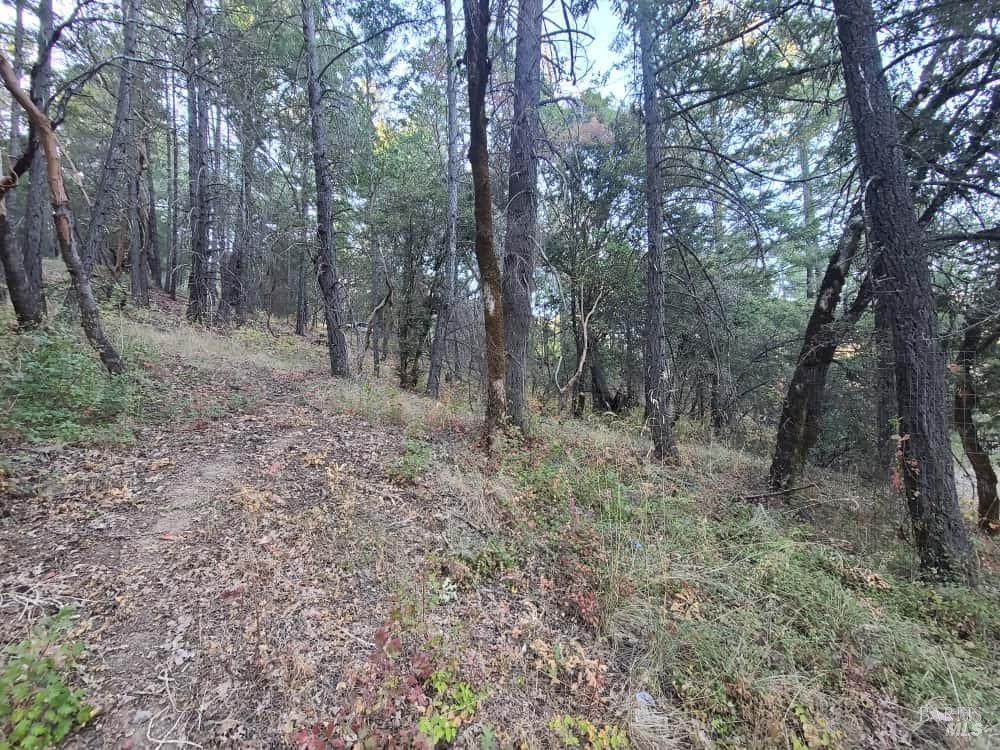 28990 Eel River Ranch Road Covelo CA 95428