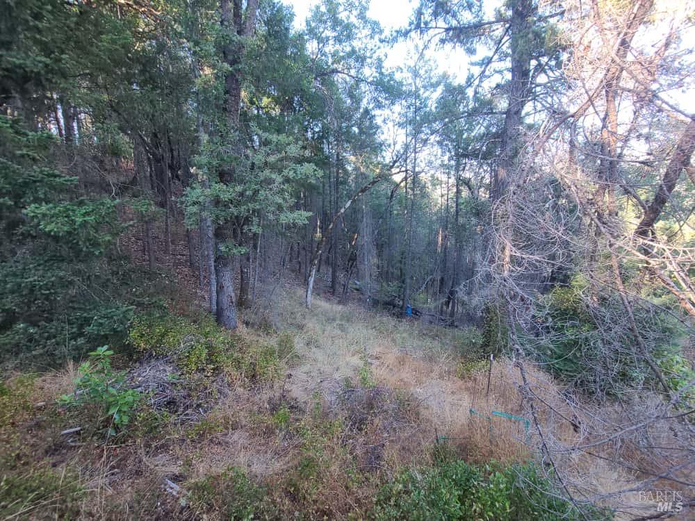 28990 Eel River Ranch Road Covelo CA 95428