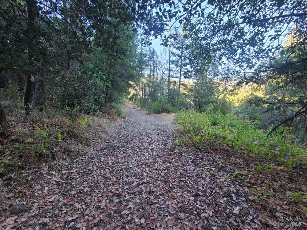 28990 Eel River Ranch Road Covelo CA 95428