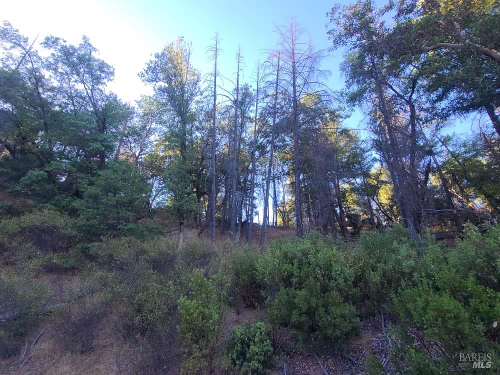 28990 Eel River Ranch Road Covelo CA 95428