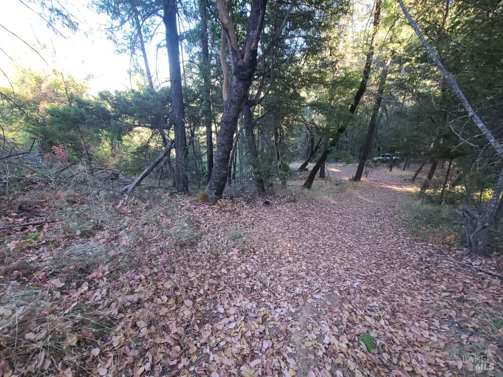 28990 Eel River Ranch Road Covelo CA 95428