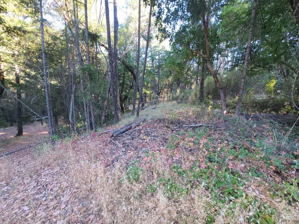 28990 Eel River Ranch Road Covelo CA 95428
