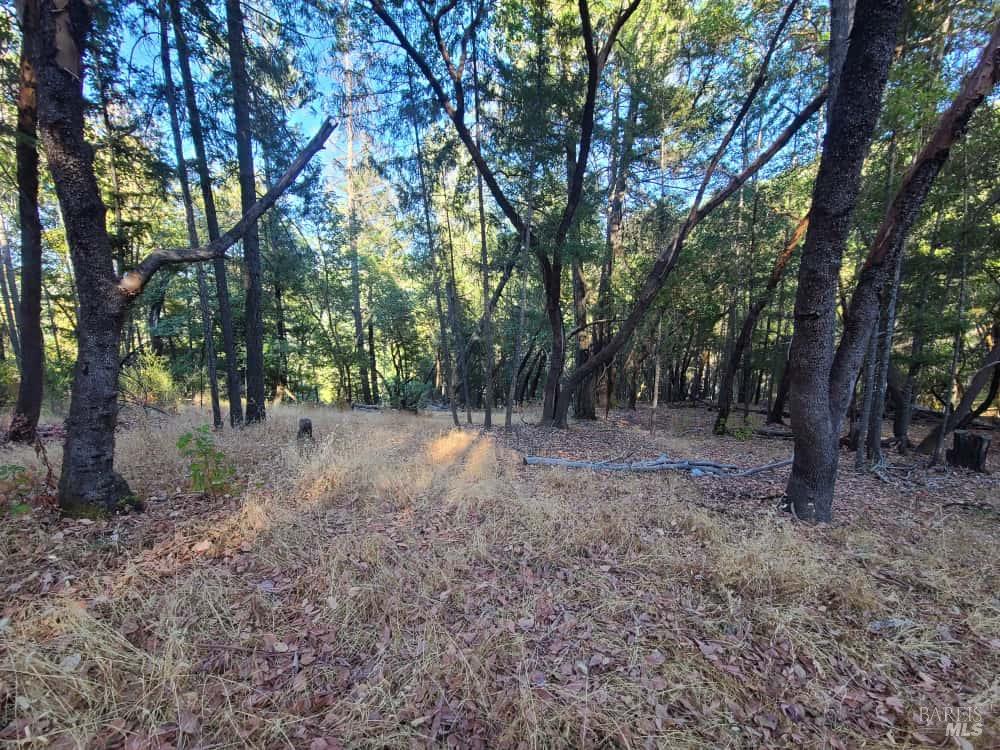 28990 Eel River Ranch Road Covelo CA 95428
