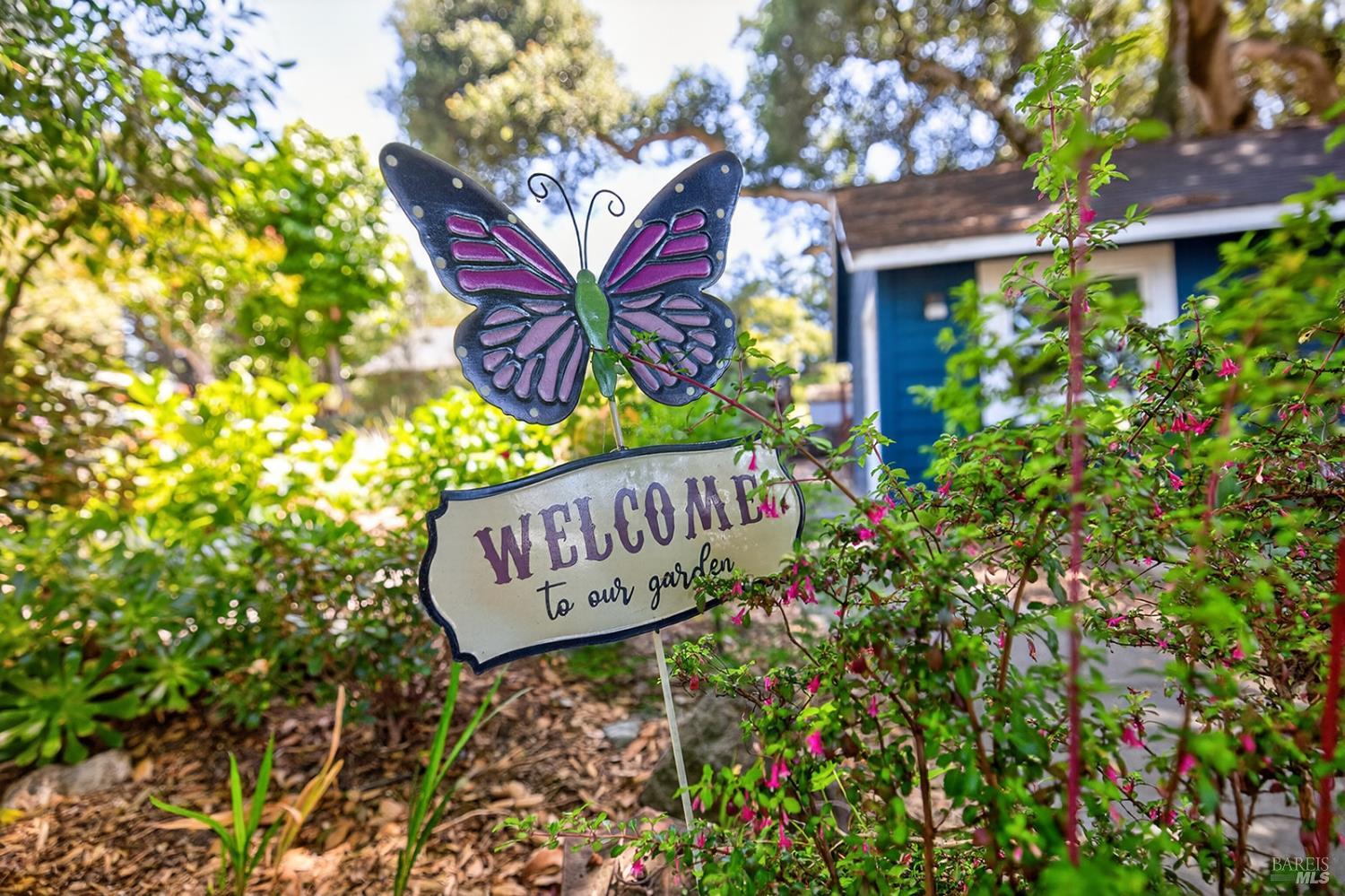 442 Marshall Avenue Petaluma CA 94952