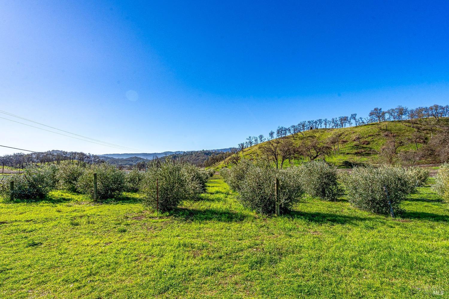 7871 Butts Canyon Road Pope Valley CA 94567