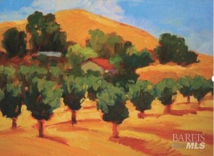 7871 Butts Canyon Road Pope Valley CA 94567