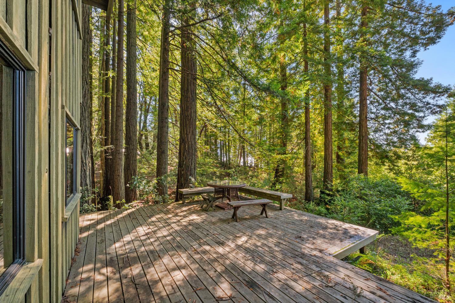 31459 Seaview Road Cazadero CA 95421