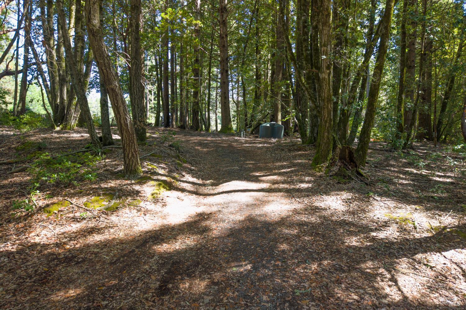 31459 Seaview Road Cazadero CA 95421