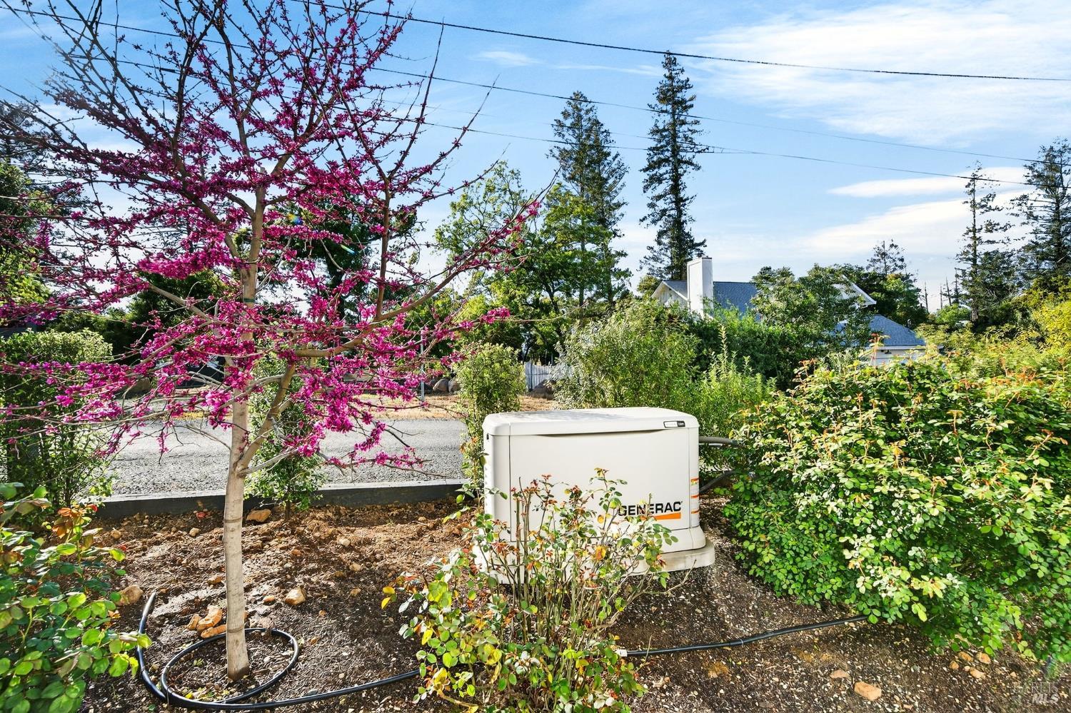 16 Upland Road St. Helena CA 94574