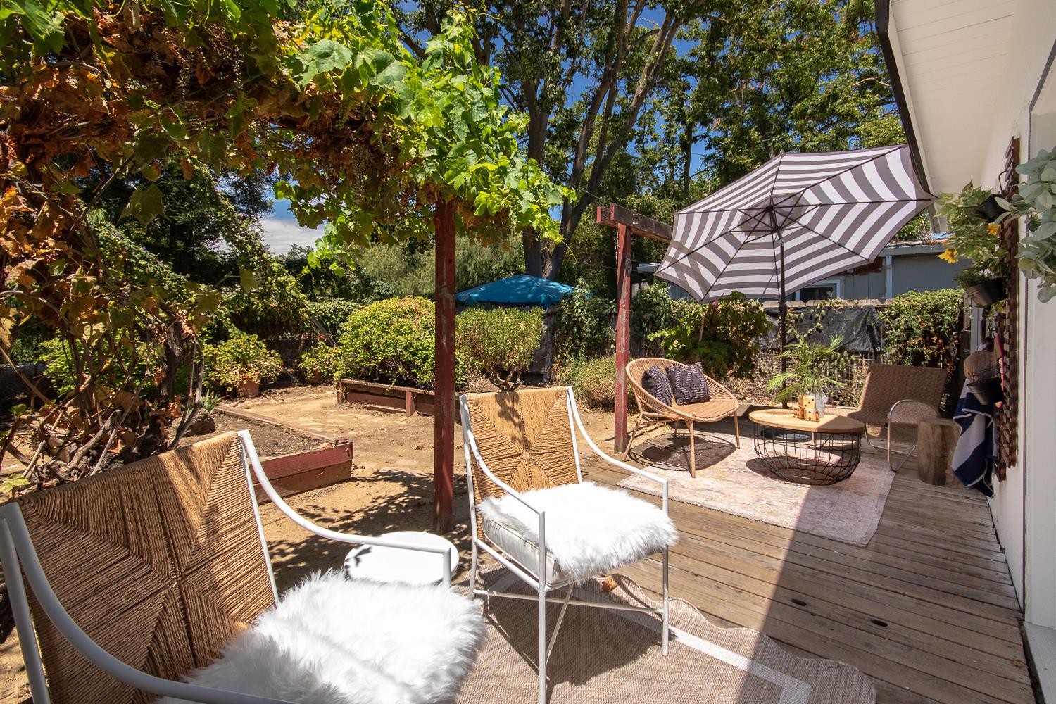 769 M Street Davis CA 95616