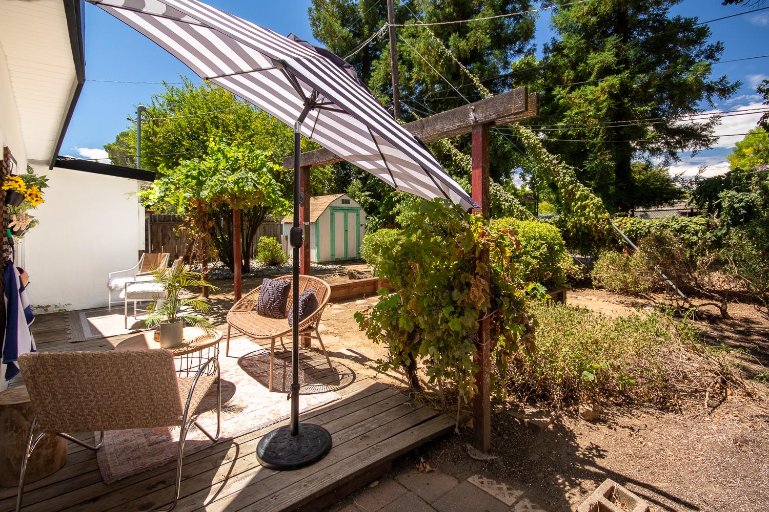 769 M Street Davis CA 95616