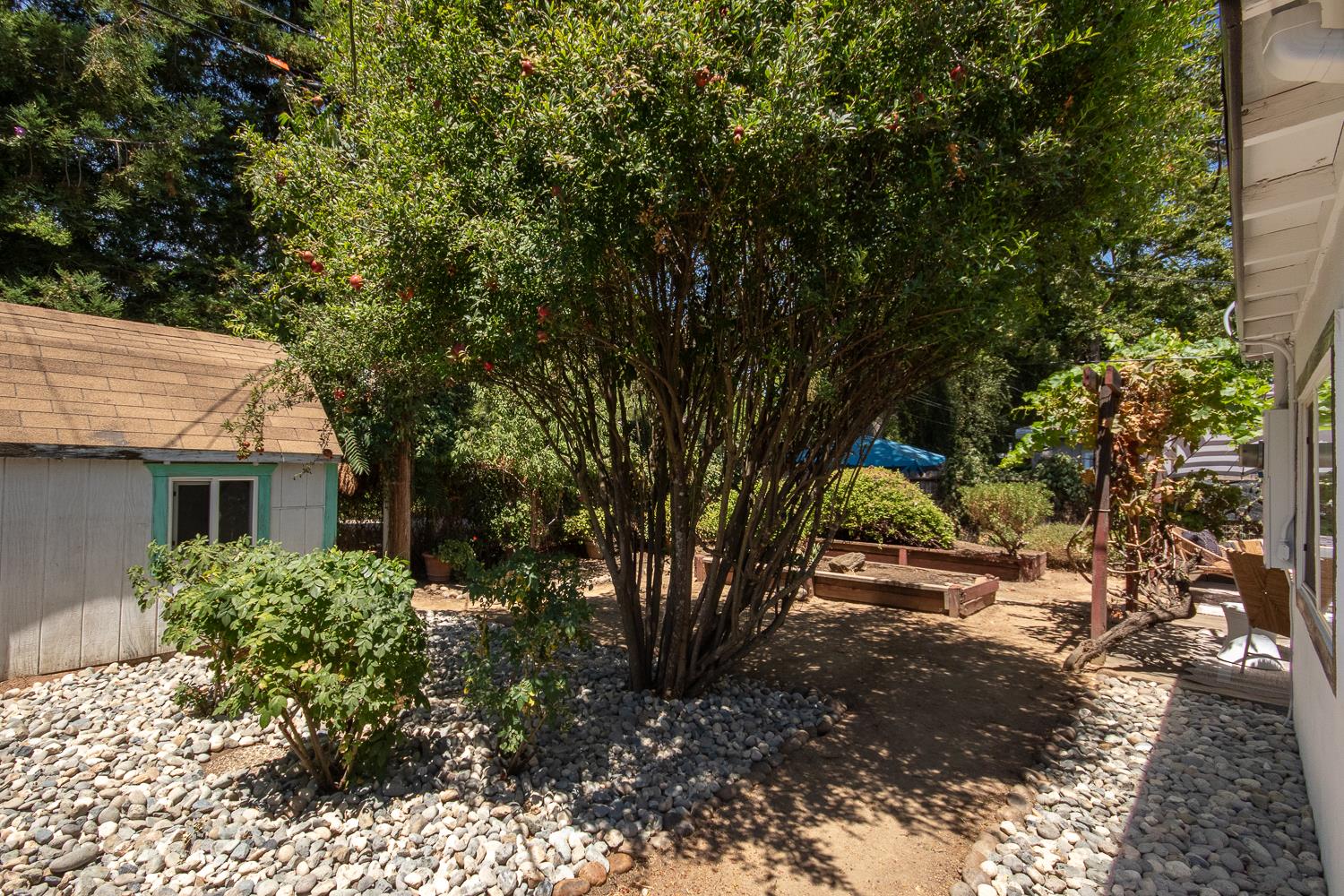 769 M Street Davis CA 95616