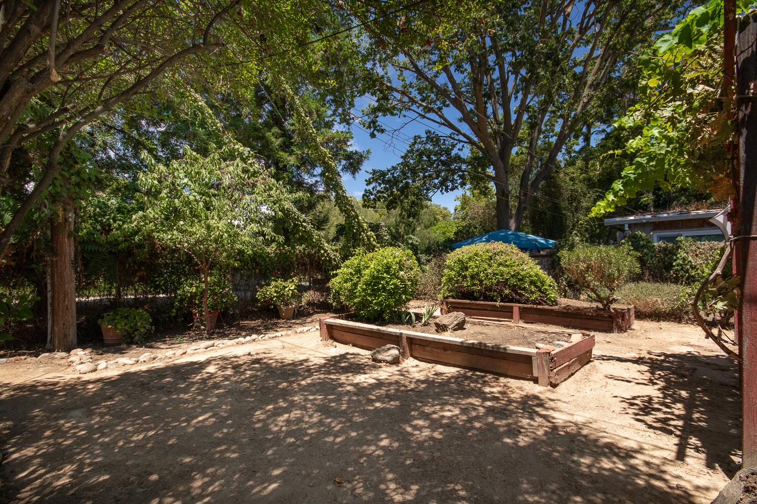 769 M Street Davis CA 95616