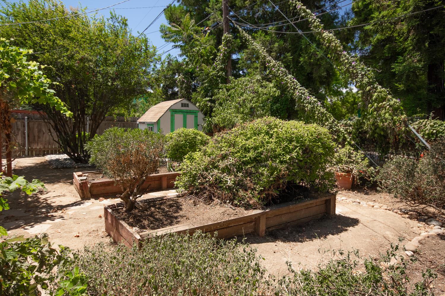 769 M Street Davis CA 95616