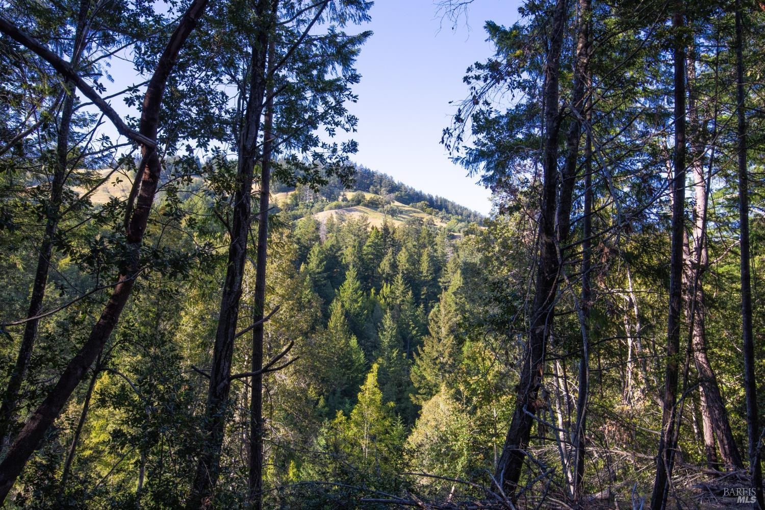 1235 Big Barn Road Cazadero CA 95421