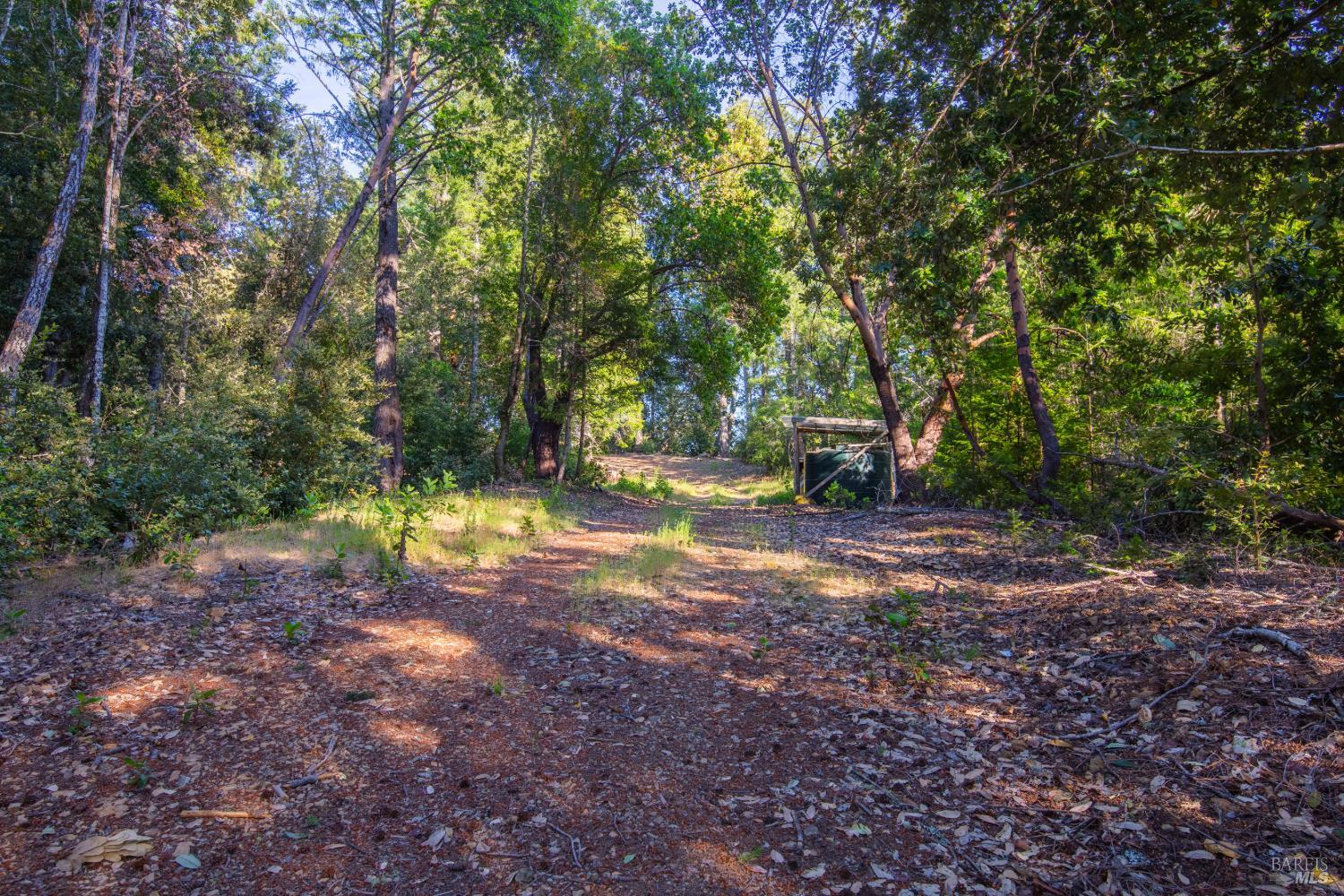 1235 Big Barn Road Cazadero CA 95421