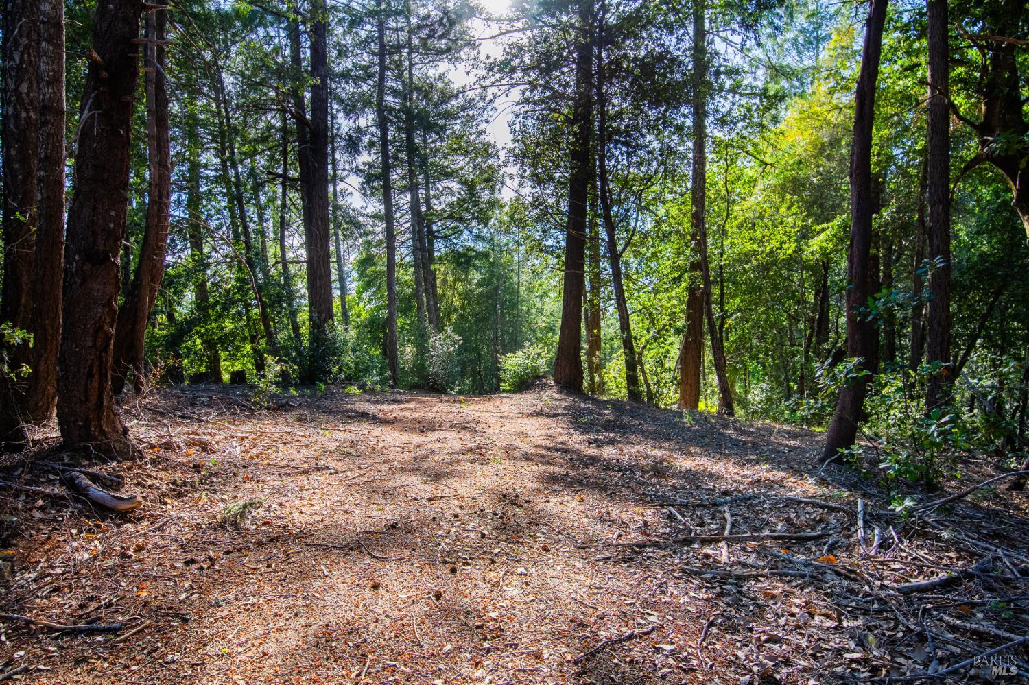 1235 Big Barn Road Cazadero CA 95421