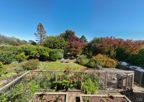 385 Cedar Road Bolinas CA 94924