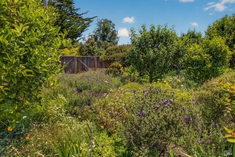 385 Cedar Road Bolinas CA 94924