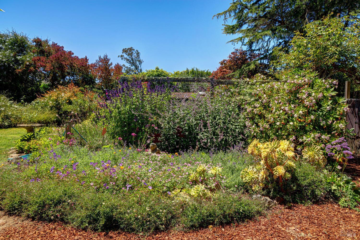385 Cedar Road Bolinas CA 94924