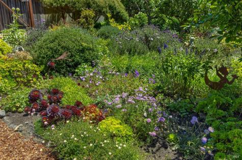 385 Cedar Road Bolinas CA 94924