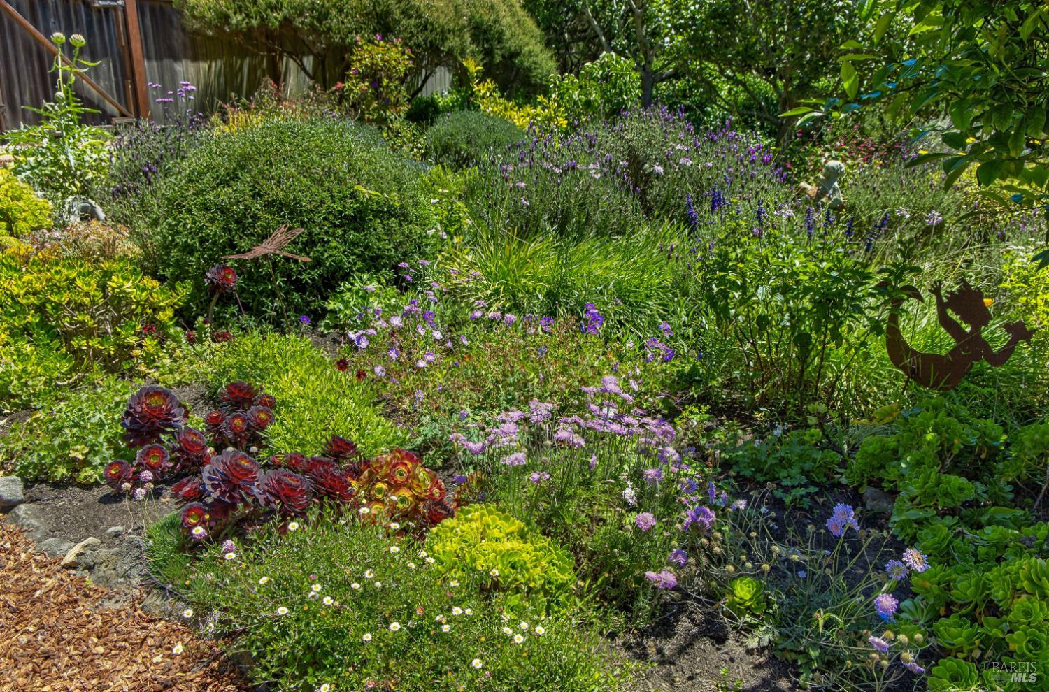 385 Cedar Road Bolinas CA 94924