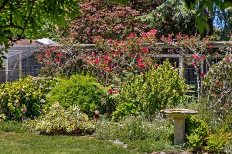 385 Cedar Road Bolinas CA 94924