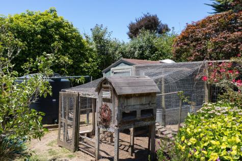 385 Cedar Road Bolinas CA 94924