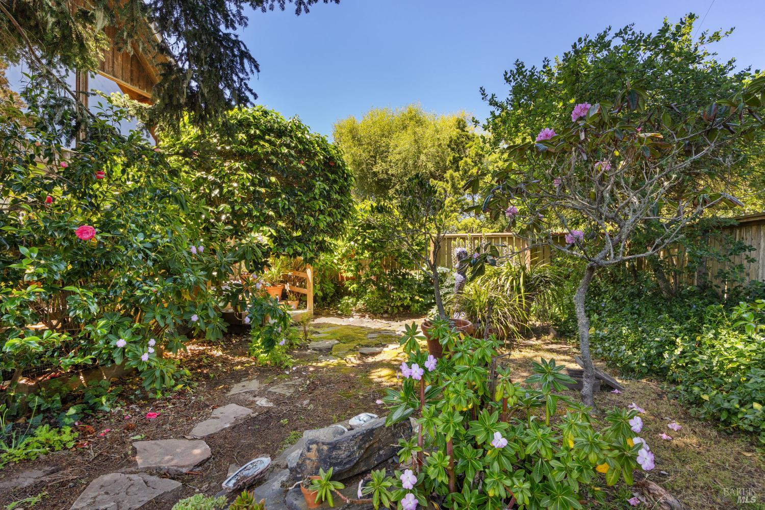 385 Cedar Road Bolinas CA 94924