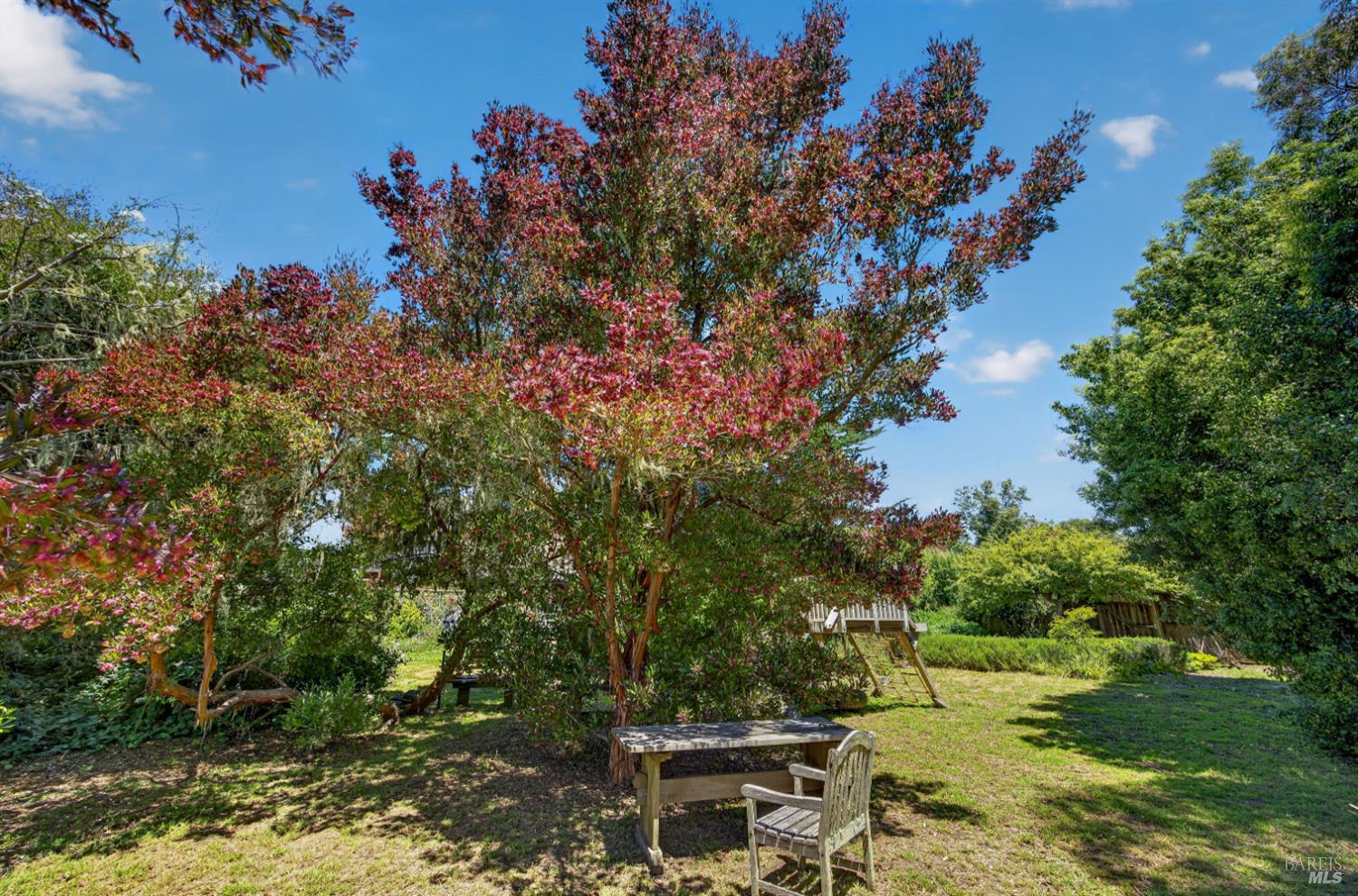 385 Cedar Road Bolinas CA 94924