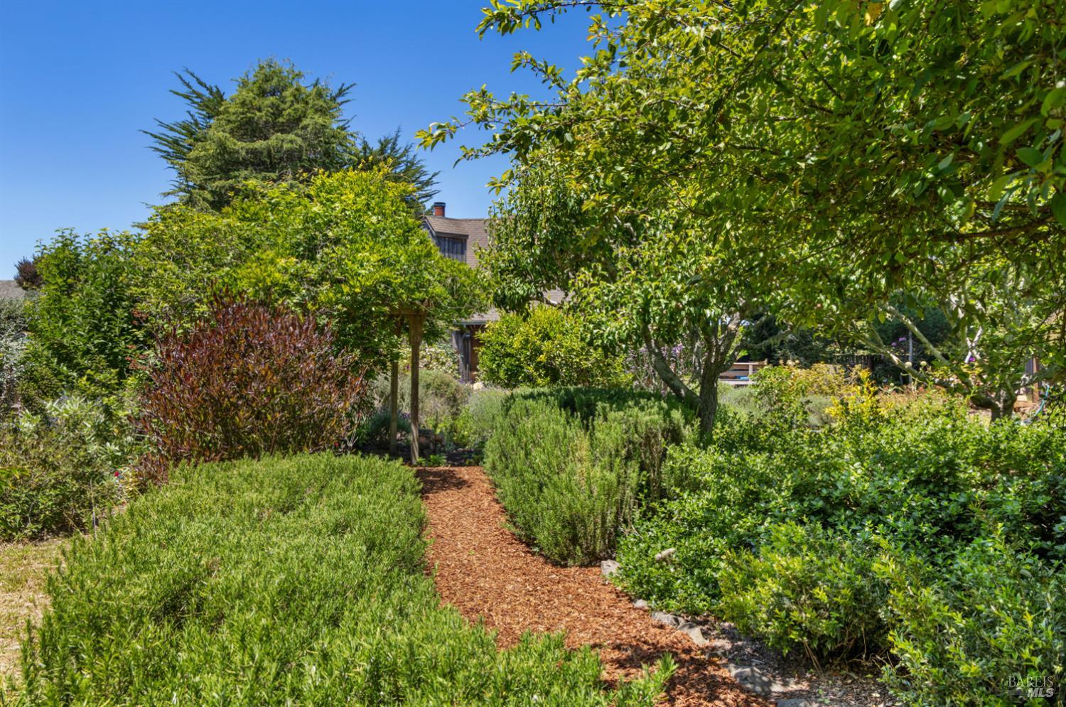 385 Cedar Road Bolinas CA 94924