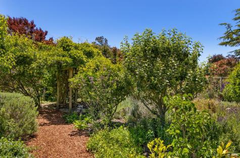 385 Cedar Road Bolinas CA 94924