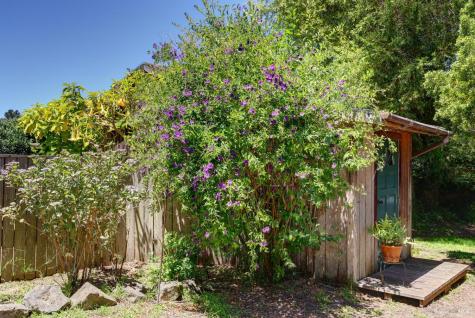 385 Cedar Road Bolinas CA 94924