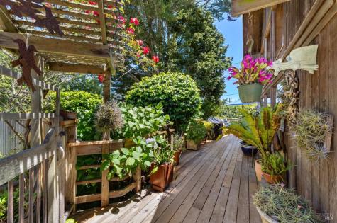 385 Cedar Road Bolinas CA 94924